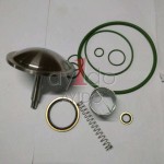 AYIDO CHECK VALVE KIT 2906096100